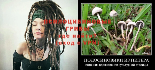 соль ск Балабаново