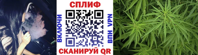 Конопля план  наркотики  Красный Холм 